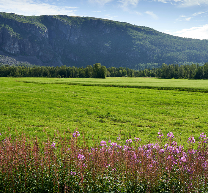 Scenic Kashmir