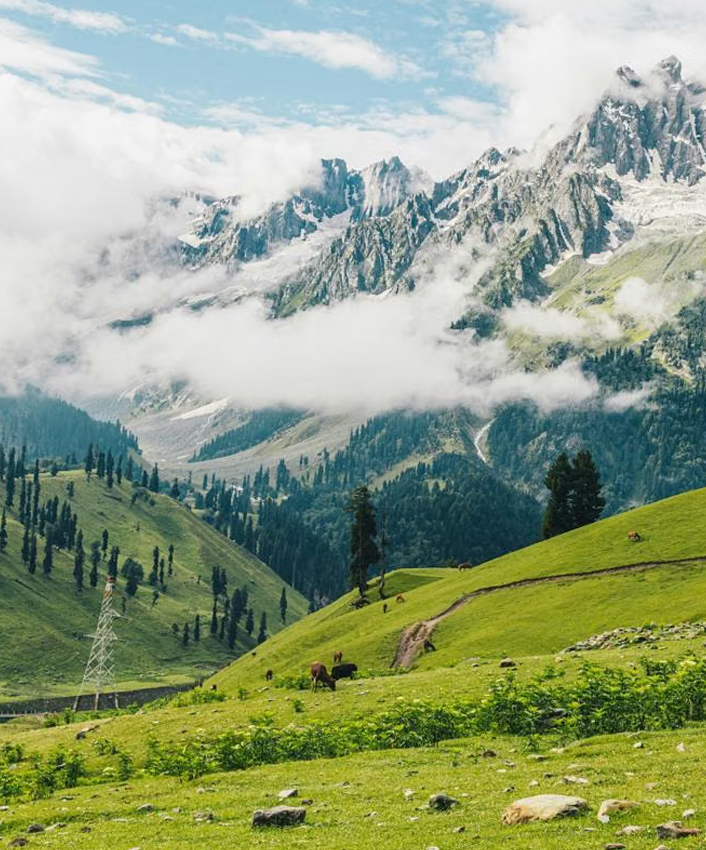 Kashmir Highlights Tour
